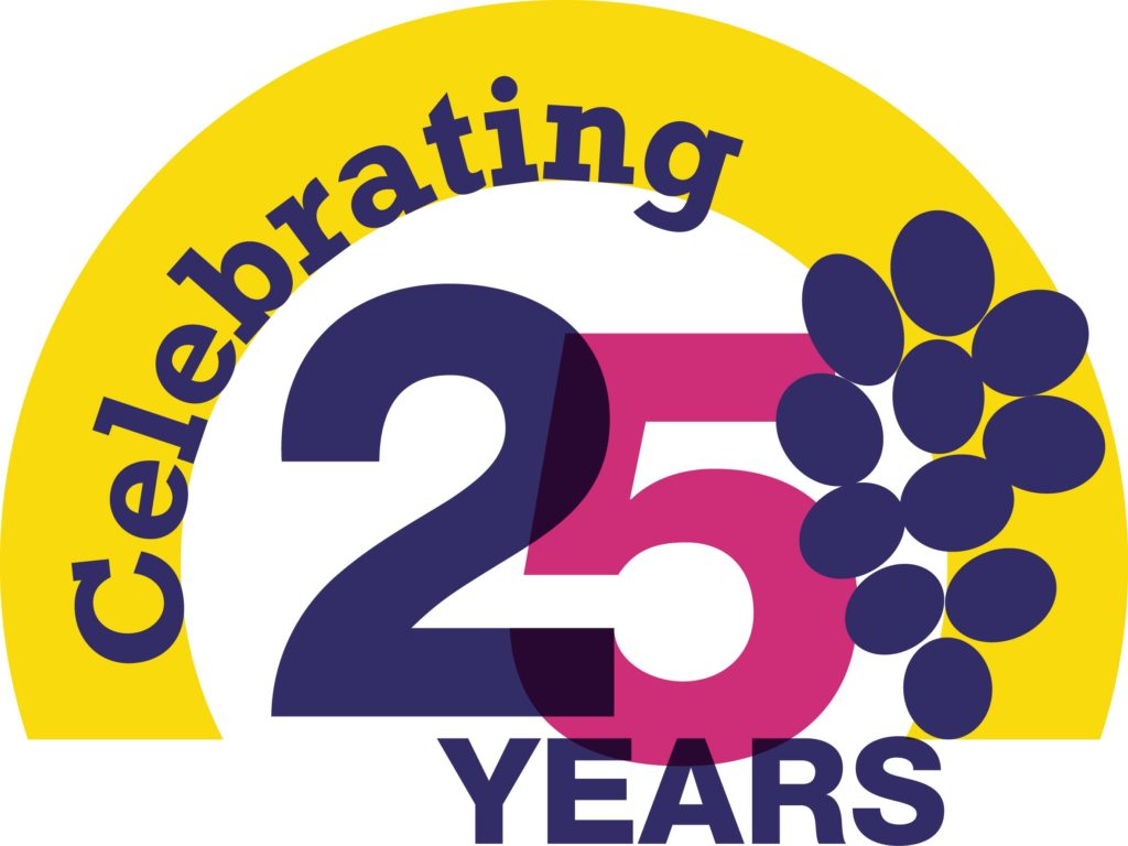 25th anniversary logo