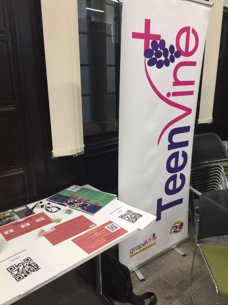 A Teenvine branded banner stand ios next to a table inside a hall containing flyers and information about Teenvine Plus.