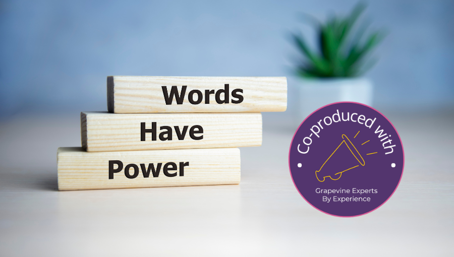 A photo shows three books piled on a table with a potted plant in the background. On their spines it spells out, "Words have power". A purple badge next to the pile explains that this work has been co-produced by Grapevine experts by experience.