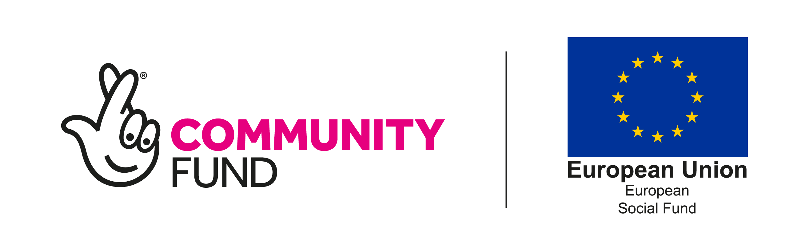 European Social Fund and Community Fund logo
