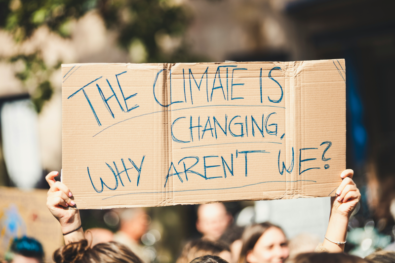Hands hold a cardboard sign in the air at a protest that reads: "The climate is changing, why aren't we?"