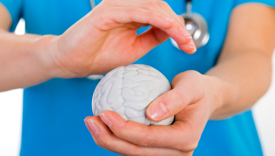 A medical professional in a blue uniform and stethoscope holds a model of a brain in their hands