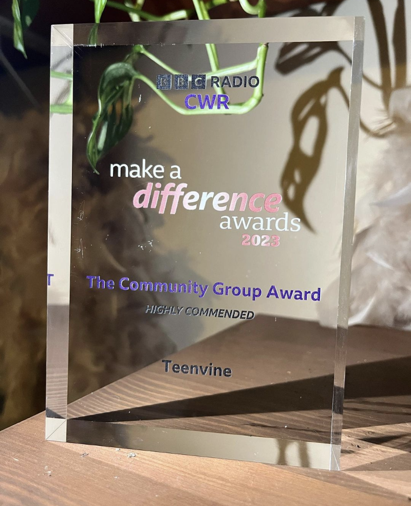 A rectangular glass award for Highly Commended Community Group for Teenvine Plus stands in sunlight on a wooden table.