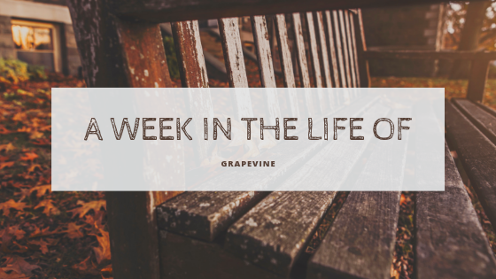 a week in the life of